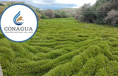 Lluvias darán un saneamiento natural al río Tunal, asegura Conagua