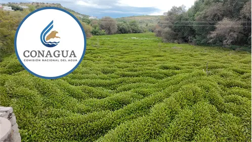 Lluvias darán un saneamiento natural al río Tunal, asegura Conagua