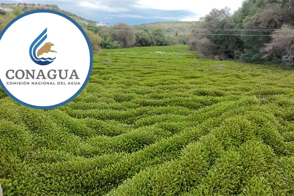 Lluvias darán un saneamiento natural al río Tunal, asegura Conagua