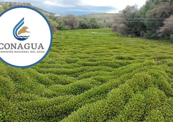 Lluvias darán un saneamiento natural al río Tunal, asegura Conagua