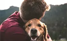 Así puedes adoptar un perrito en Altamira