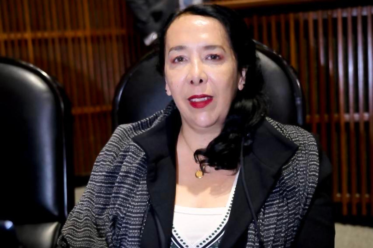 ¿Quién es Araceli Brown? La diputada señalada de tener nexos con el crimen organizado