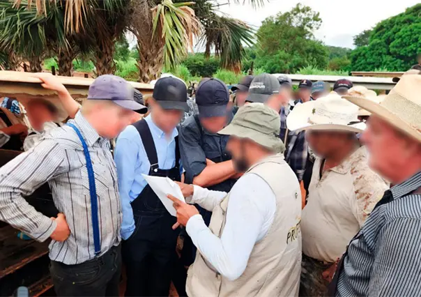 Profepa clausura 17 predios por devastación de 3 mil hectáreas de selva en la Península de Yucatán