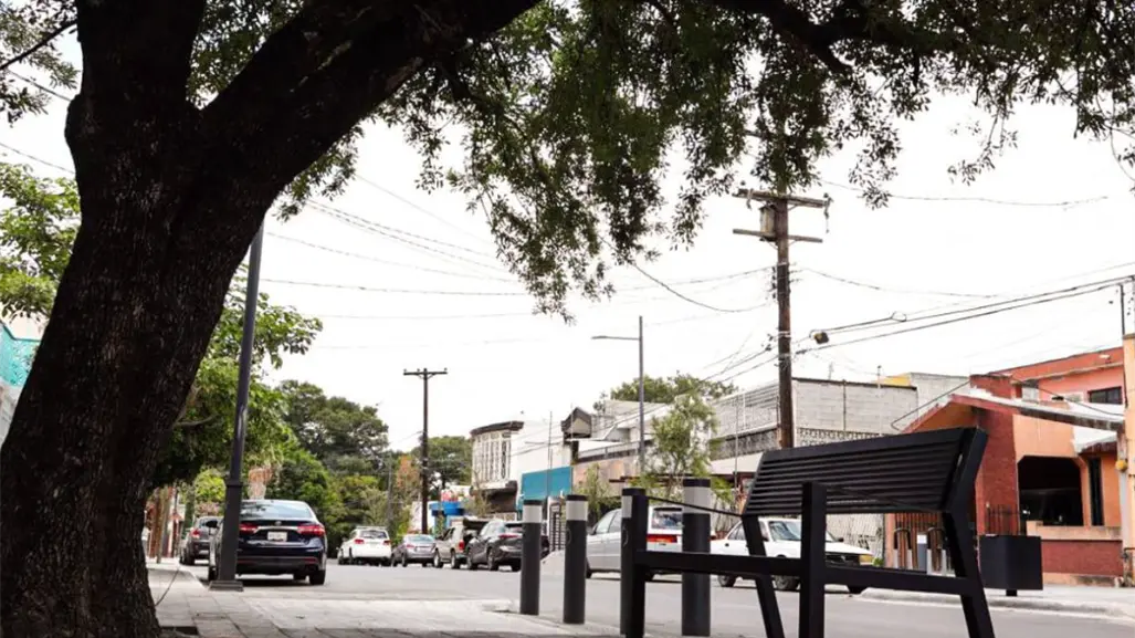 Corredores Verdes en Nuevo León: El futuro sustentable de la movilidad