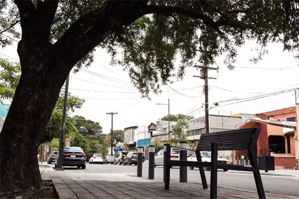 Corredores Verdes en Nuevo León: El futuro sustentable de la movilidad