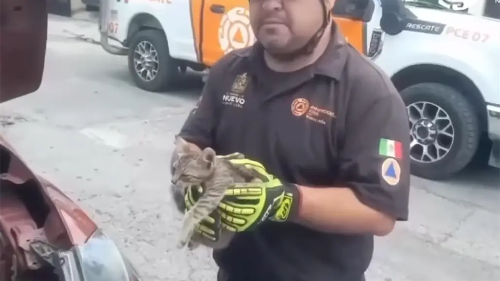 Rescatan a gatito atrapado en motor de camioneta en Guadalupe