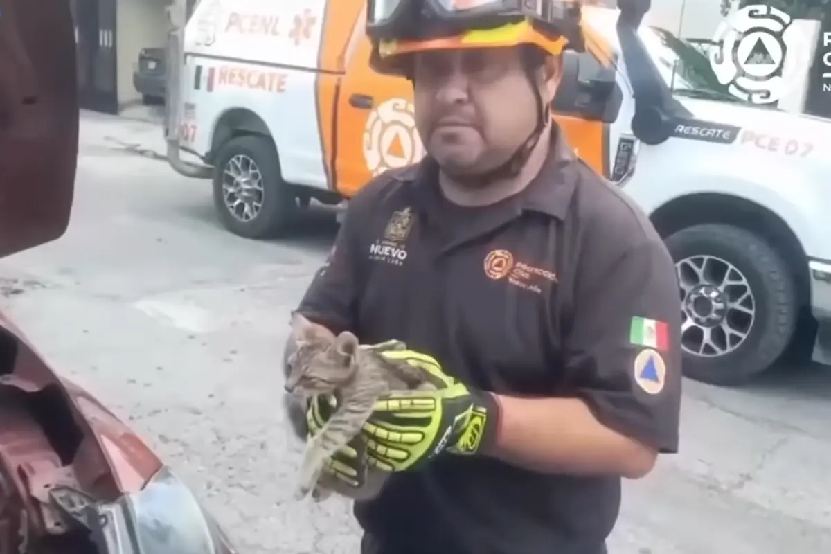 Los elementos señalaron que este tipo de incidentes son más comunes de lo que se piensa. Foto: PCNL.