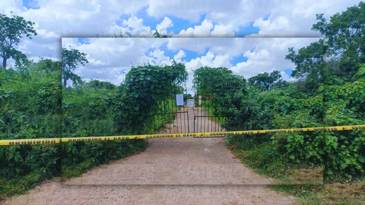 En el lugar fue asegurado un vehículo presuntamente relacionado con esos ilícitos Foto: Redes Sociales