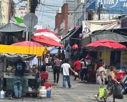 ¿Cómo formalizar tu comercio? Guía práctica paso a paso en Nuevo León