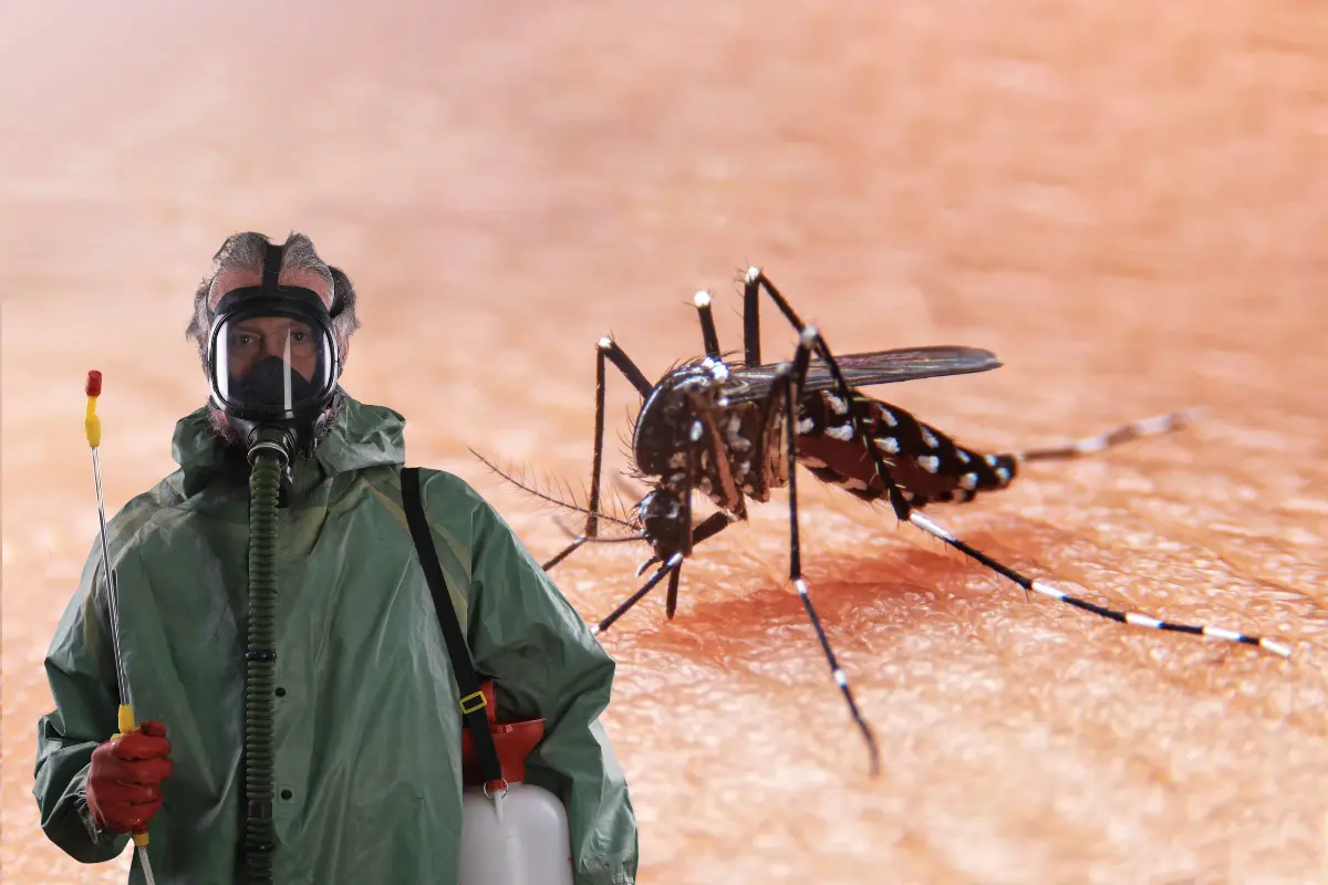 Este viernes arranca la fumigación masiva contra el dengue en Los Cabos. Fotos Ilustrativas: Canva.