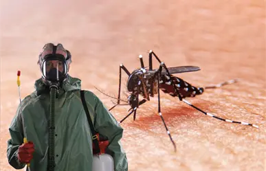 Van contra el dengue en Los Cabos; iniciarán fumigación este viernes