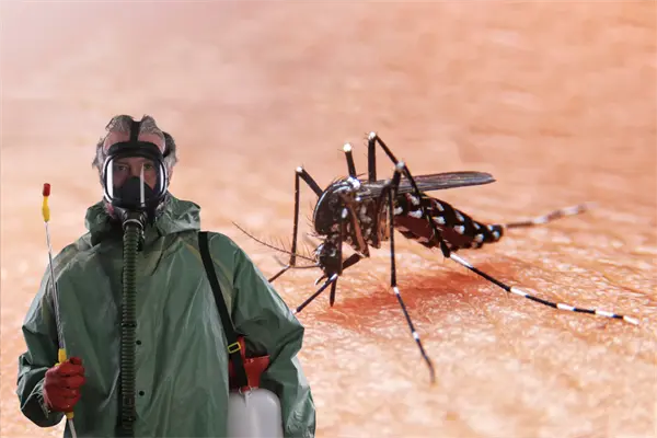 Van contra el dengue en Los Cabos; iniciarán fumigación este viernes