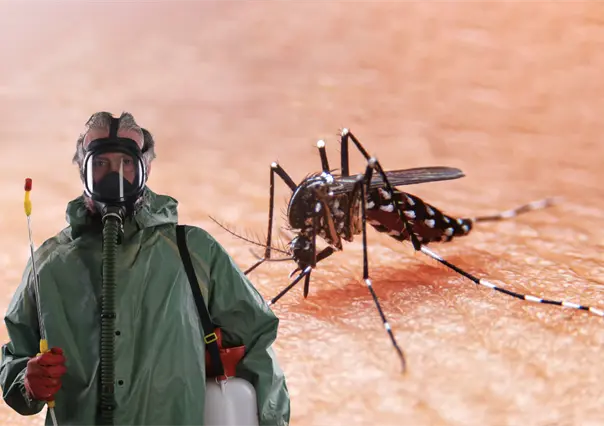 Van contra el dengue en Los Cabos; iniciarán fumigación este viernes