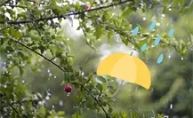 Así será el clima en Monterrey este viernes 19 de septiembre