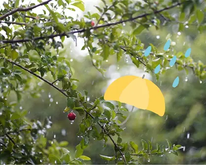 Así será el clima en Monterrey este viernes 19 de septiembre