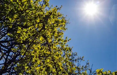 Cielo soleado con lluvias aisladas en Tamaulipas este sábado 20 de septiembre