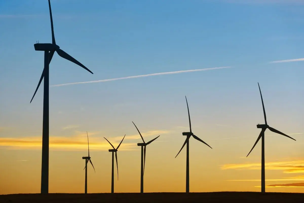 Tamaulipas se prepara para dar un paso clave en el desarrollo energético del noreste de México con la construcción de la línea de transmisión Huasteca-Monterrey. Foto: Freepik