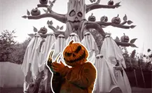 Parque de las Calabazas: la experiencia otoñal y spooky que no te puedes perder en Monterrey