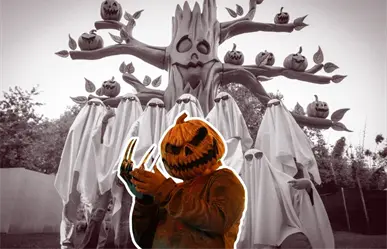 Parque de las Calabazas: la experiencia otoñal y spooky que no te puedes perder en Monterrey