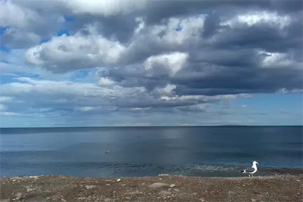 Más lluvia para este viernes: así es el pronóstico del clima en BCS de la Conagua