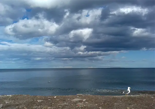 Más lluvia para este viernes: así es el pronóstico de la Conagua para el clima en BCS