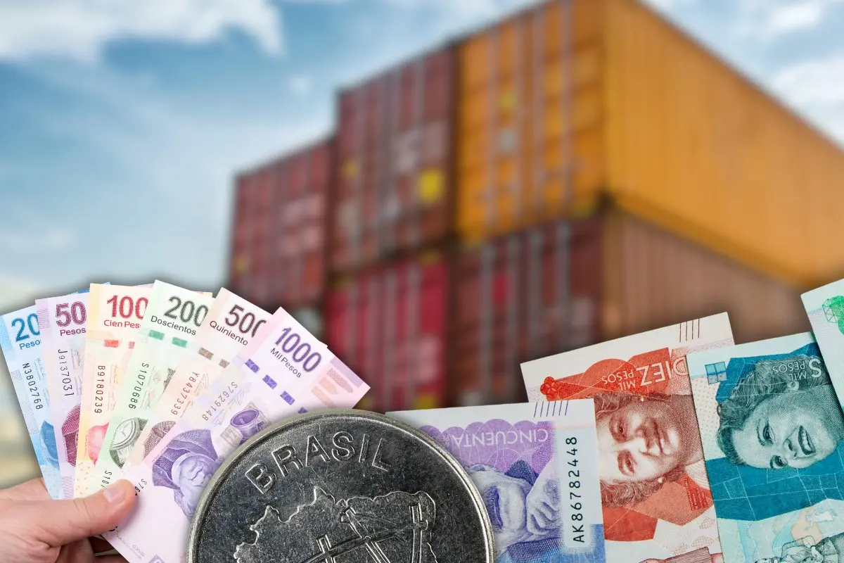 Contenedores, monedas de México, Brasil y Colombia. Foto: Canva