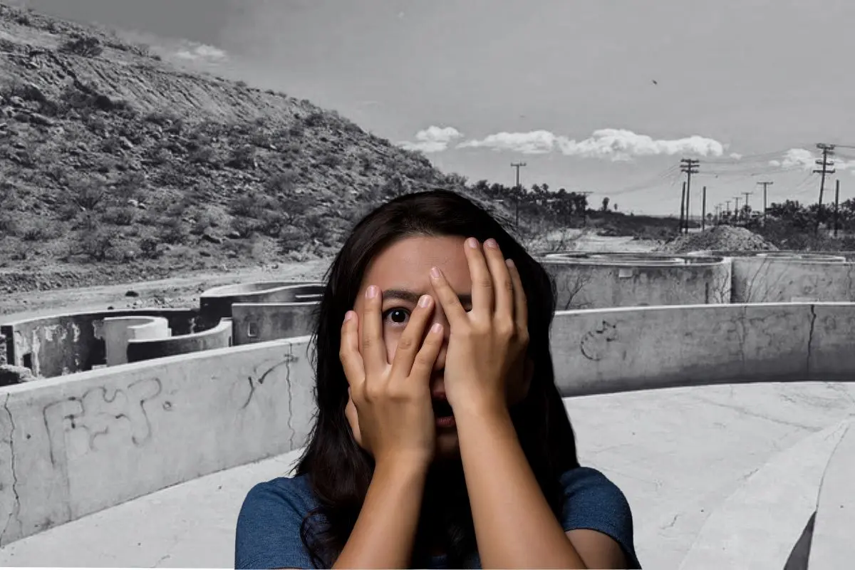 Foto: Vive La Paz MX