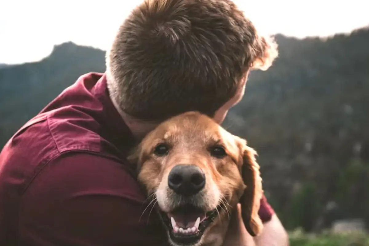 Descubre cómo adoptar un perrito en Ciudad Victoria y bríndale un hogar lleno de amor. Encuentra información sobre refugios de mascotas en Tamaulipas.