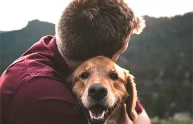 Así puedes adoptar un perrito en Victoria