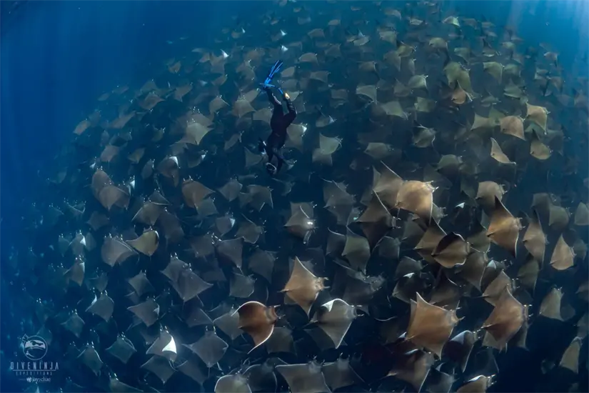 Foto: diveninjaexpeditions.com