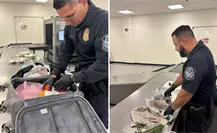 Encuentran restos humanos en equipaje de pasajero en aeropuerto de Florida
