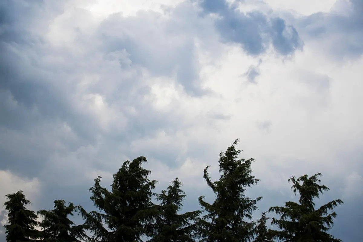 En caso de emergencia, se debe llamar al 911./Foto: Canva