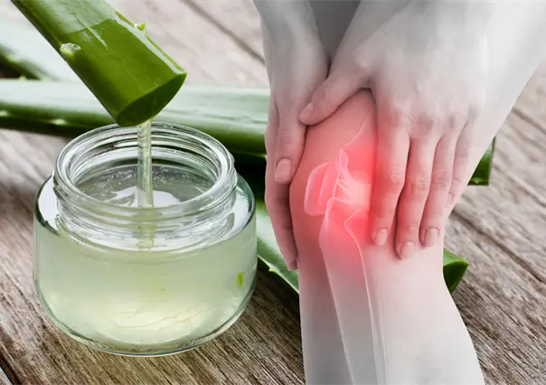 Convierte al aloe vera en tu mejor aliado contra los dolores de rodilla