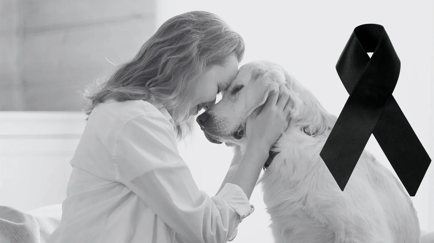 El taller es para las personas que enfrentan la pérdida de una mascota. (Fotografía: Canva)