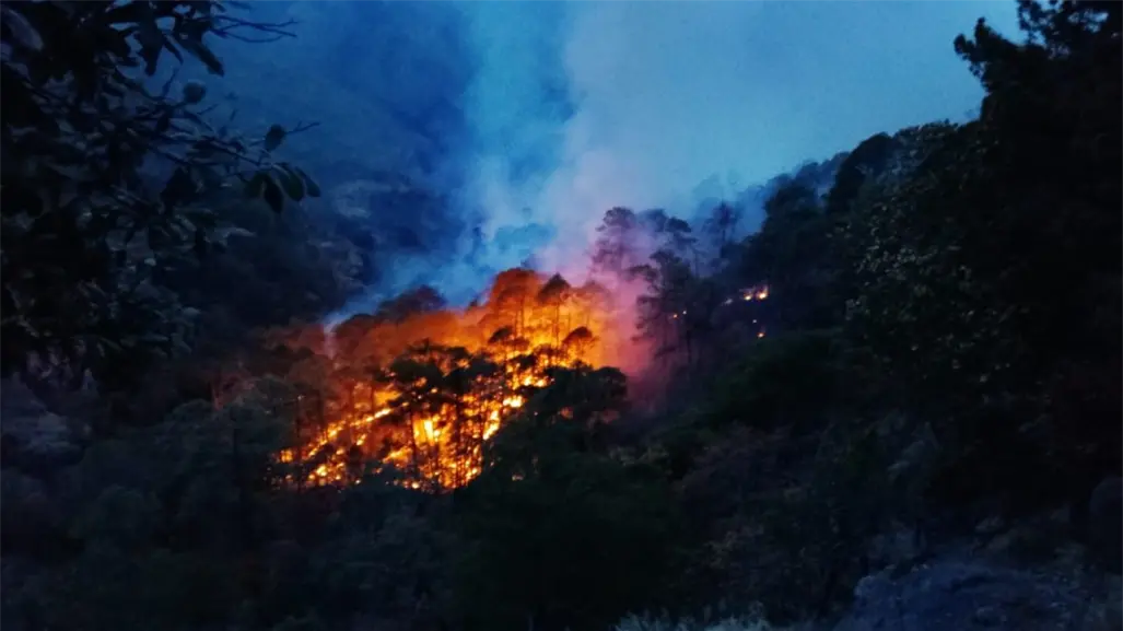 El preocupante lugar que ocupa Durango en daños por incendios forestales