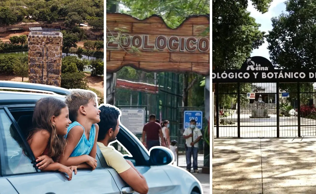 ¿Qué ofrece el Zoológico Animaya en Mérida? Foto: Canva