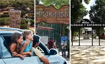 3 zoológicos gratuitos en Yucatán para visitar un fin de semana en familia