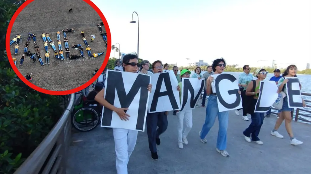 Protestan ambientalistas para conservar mangle en Laguna del Carpintero