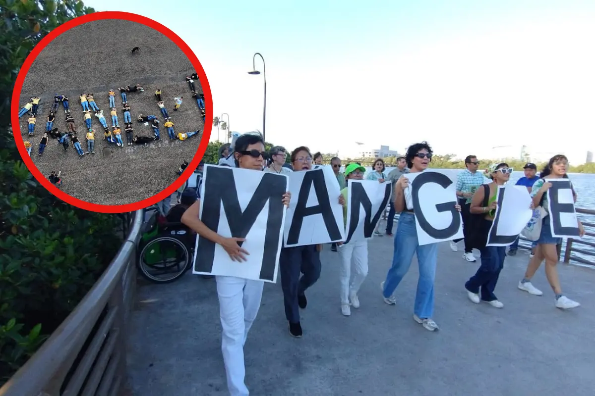 Descubre la protesta pacífica de ambientalistas en Tampico por la preservación del mangle en la Laguna del Carpintero.