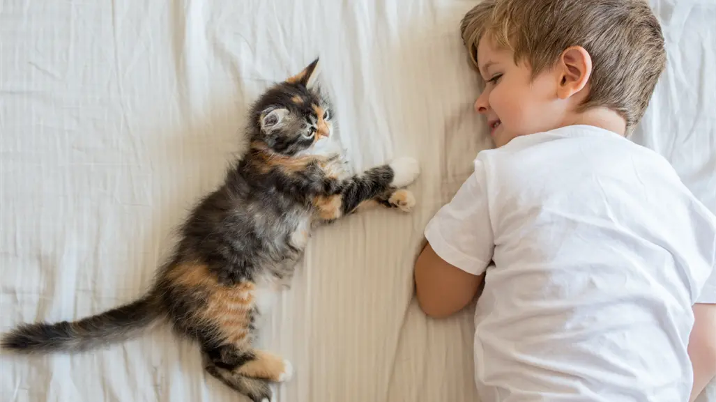 7 consejos que harán que tus hijos y tu gato callejero adoptado se lleven de maravilla