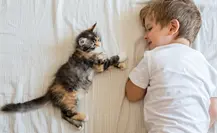 7 consejos que harán que tus hijos y tu gato callejero adoptado se lleven de maravilla