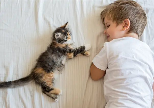 7 consejos que harán que tus hijos y tu gato callejero adoptado se lleven de maravilla