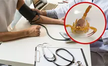 La razón por la que NUNCA debes tratar de extraer el veneno si te pica un alacrán de Durango