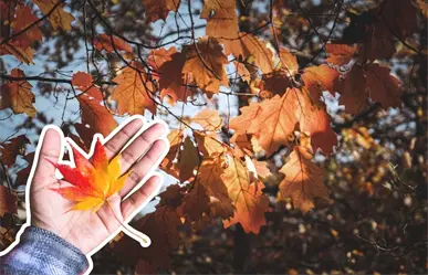 Equinoccio de otoño en Nuevo León: prepárate para tardes más cortas y cielos anaranjados