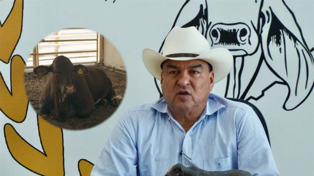 ¡Alerta ganadera! Exigen vigilancia total al ganado que entra a Nuevo León