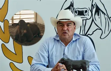 ¡Alerta ganadera! Exigen vigilancia total al ganado que entra a Nuevo León