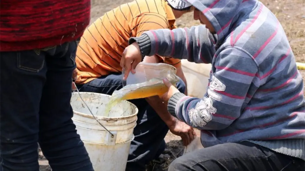 Busca gobierno de Tamaulipas frenar traslado y adulteración de huachicol