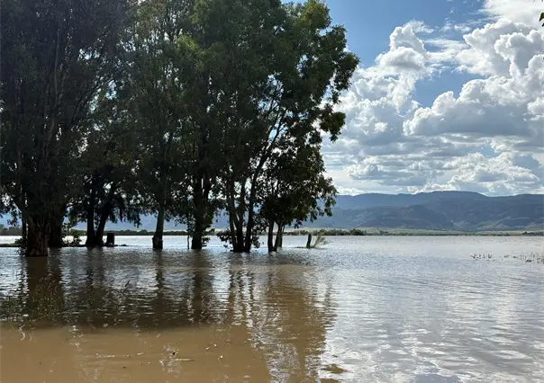 ¿Cuál es el nivel de las presas de Durango este 22 de septiembre?