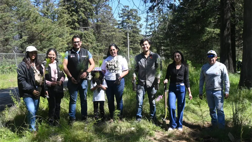 Tala ilegal en Edomex impulsa el programa Toluca se pone verde con 112 mil árboles plantados en 2025