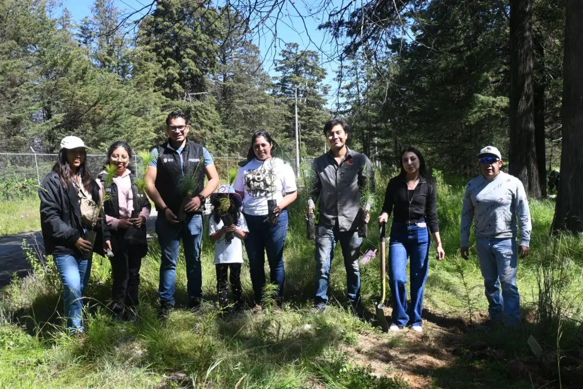 Jornadas de reforestación en el Edomex.  Foto: X (@AmbienteEdomex)